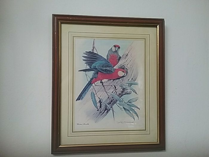 Framed Print of Two Birds