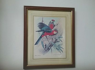 Framed Print of Two Birds
