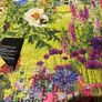 Jigsaw Puzzle 1000 pieces Image 5