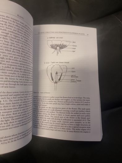 Ideas, Concepts and Explanations  Understanding Primary Science: Ideas, Concepts and Explanations