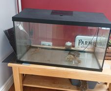 Aquarium