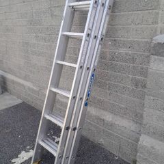 ladder