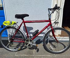 Men's mountain bike (21"/54cm)