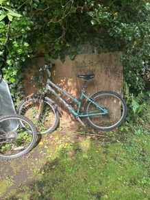 Adult bike