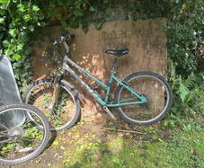 Adult bike