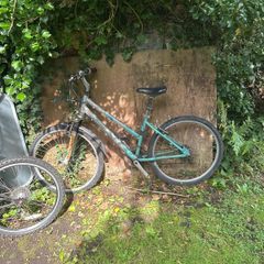 Adult bike