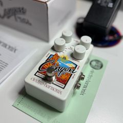 Electro Harmonix Canyon Delay
