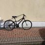 Girls bike Image 4