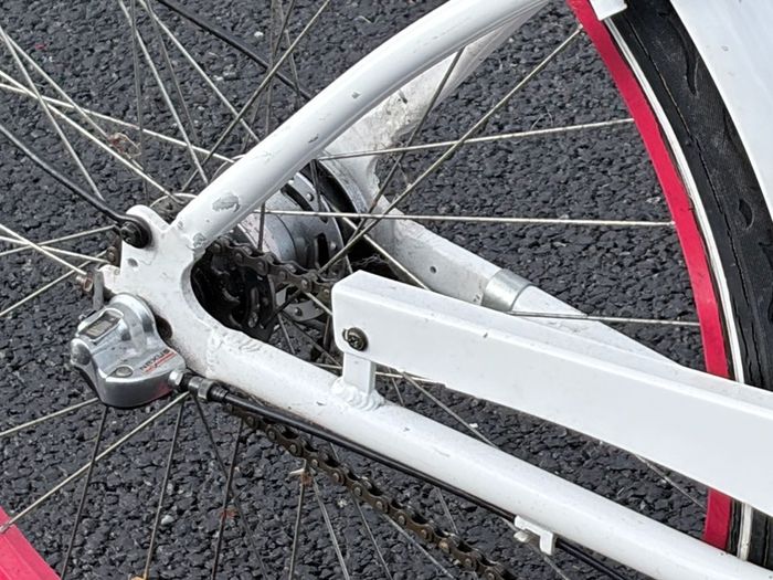 Popal dutch female city Bike