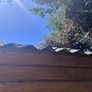 Garden shed Image 5