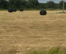 Farming