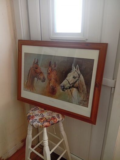 Red rum .arkle and desert orchid picture