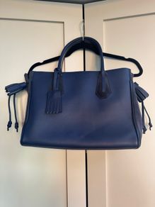 Longchamp Bag