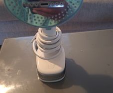 stem clean