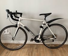 Adult Medium Genesis Road Bike