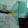 VW POLO 2010 car door parts Image 3