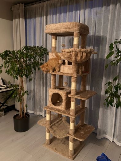 XXL Large Cat Tree  Cat Tower Brand New in Box