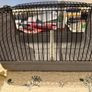Bird transport cage Image 2