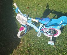frozen bike