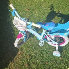 frozen bike