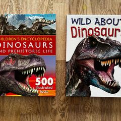Two Dinosaur Books
