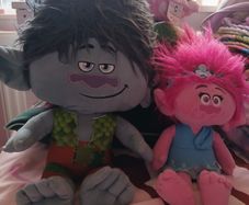 Trolls branch and poppy teddys