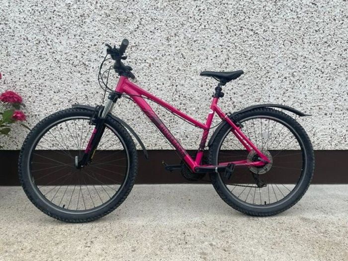 Ladies' Mountain Bike