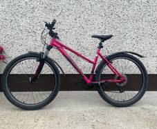 Ladies' Mountain Bike