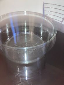 Large Fish Bowl