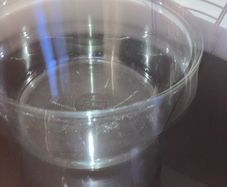 Large Fish Bowl