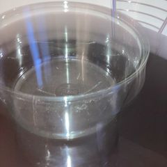Large Fish Bowl
