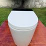 Smart / Japanese toilet with bidet wash Image 9