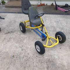berg kart