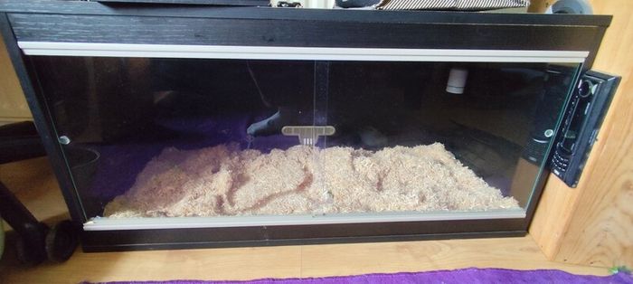 reptile vivarium