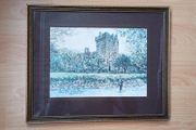 Nice Blarney Castle print in a wooden glazed frame by Paramount Fine Arts, Portadown 34.5 x 42cm