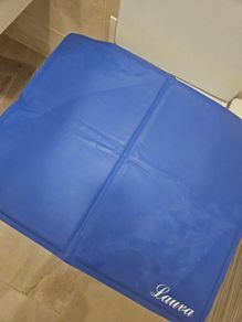 Dog cooling mat