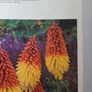 vintage new book flowers for everywhere 1974 Image 6