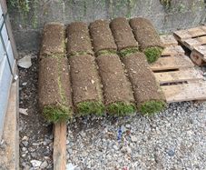 rolled grass