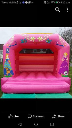 Bouncy Castle Business For Sale