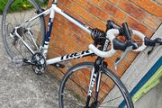 Trek Road Bike
