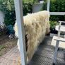 sheepskin throw Image 2
