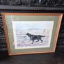 Limited edition print of Gordon Setter Image 5
