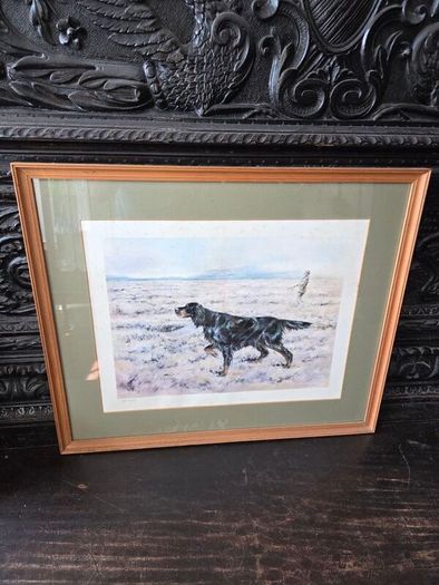 Limited edition print of Gordon Setter