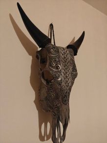 Skull, Genuine Bull Skull