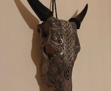 Skull, Genuine Bull Skull
