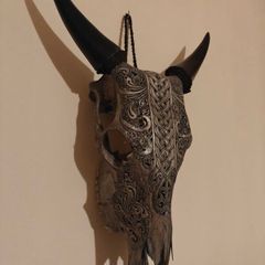 Skull, Genuine Bull Skull