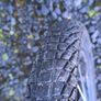 Verve max 16 bike Image 5
