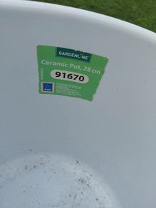 White  ceramic plant pot