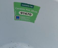 White  ceramic plant pot