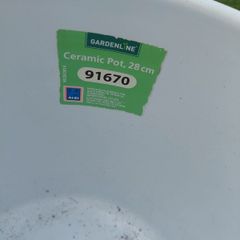 White  ceramic plant pot